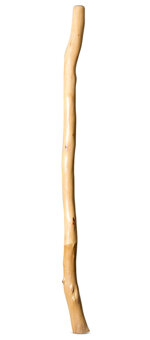 Earl Clements Didgeridoo (EC382)